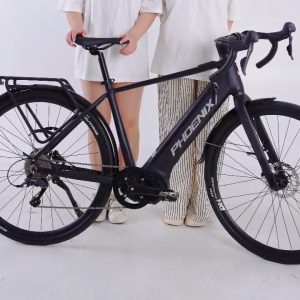 Xe Đạp Trợ Lực Phoenix LR 2