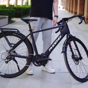 Xe Đạp Trợ Lực Phoenix LR - Bản Cao Cấp 9 Xe Đạp Trợ Lực Phoenix LR 3