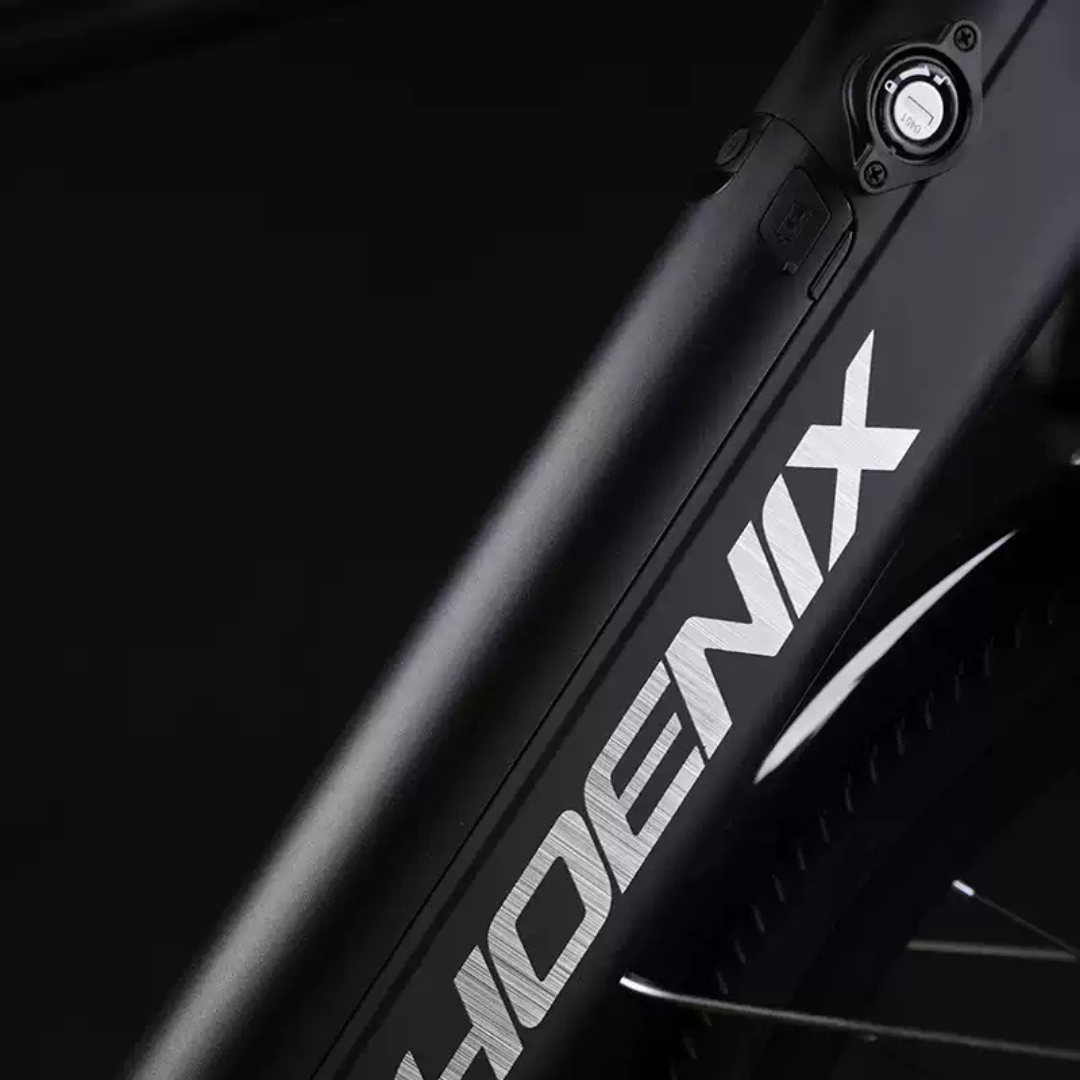 Xe Đạp Trợ Lực Phoenix LR - Bản Cao Cấp 16 Những tính năng nổi bật của xe đạp trợ lực Phoenix LR