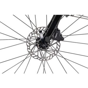 2024 escape2citydisc panther 11 600x600 1