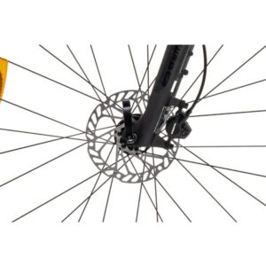 2024 roam3disc huntergreen 8 600x600 1