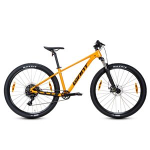 Xe Đạp Đua Địa Hình MTB GIANT Talon 29 4 – Phanh Đĩa, Bánh 29 Inches – 2025