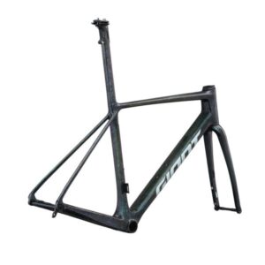 2025 ff tcradvsl psychedelicgreen 1 600x600 1 1