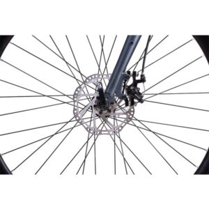 Feliz Grey 4 600x600 (1)