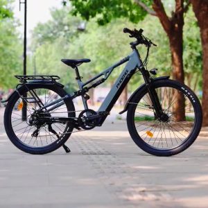 Xe Đạp Trợ Lực Phoenix M18