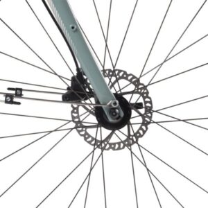 alight 2 dd city disc 2022 eucalyptus 11 600x600 1