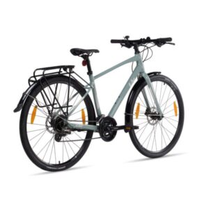 alight 2 dd city disc 2022 eucalyptus 6 600x600 1