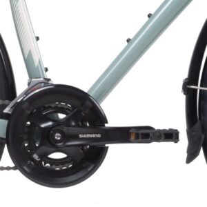 alight 2 dd city disc 2022 eucalyptus 7 600x600 1