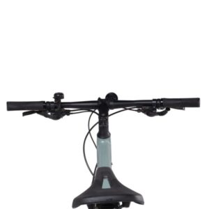 alight 2 dd city disc 2022 eucalyptus 9 600x600 1