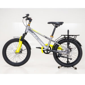 ares1b greyyellow 11