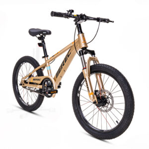 Xe Đạp Trẻ Em Youth MEREC Bugle – Bánh 20 Inches 19 bugle grey 1