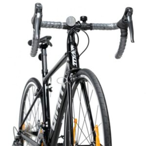 contend 2 2022 new 768x768 1 600x600 1