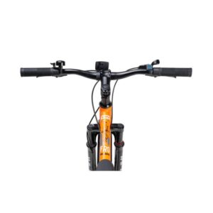 fuji orange 12 600x600 1