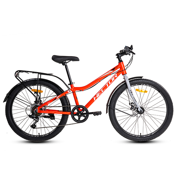 Xe Đạp Địa Hình MTB HECTOR Titan – Phanh Đĩa, Bánh 24 Inches 3 Xe Đạp Địa Hình MTB HECTOR Titan – Phanh Đĩa, Bánh 24 Inches - Ảnh 3
