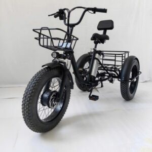 Xe đạp điện 3 bánh cho người già D3B 01, siêu đẳng cấp