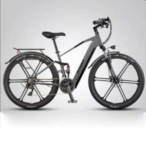 Xe đạp điện trợ lực Phoenix M19, vành đúc 12 thanh, 29 inch, tốc độ 20-35km