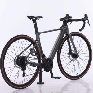 Xe Dap Dien Tro Luc Phoenix Pro P1 700cc 3