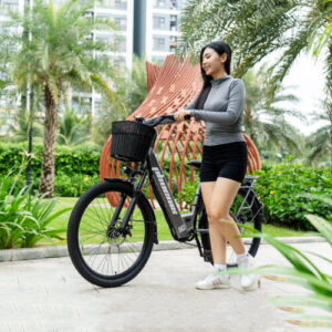 Xe đạp điện trợ lực Phoenix D2, chính hãng, tốc độ 20-35km