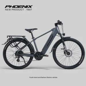 Xe Dap Tro Luc Dien Phoenix Lm