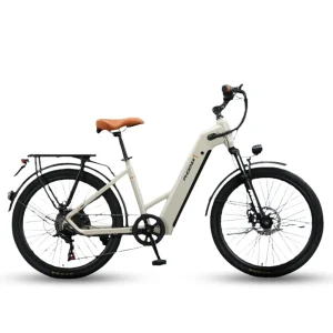 Xe Dap Tro Luc Dien Phoenix Tr1 0