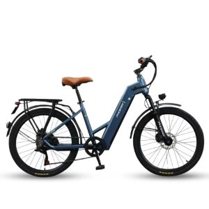 Xe Đạp Trợ Lực Điện Phoenix TR1