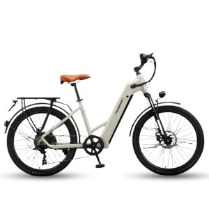 Xe Dap Tro Luc Dien Phoenix Tr1 5