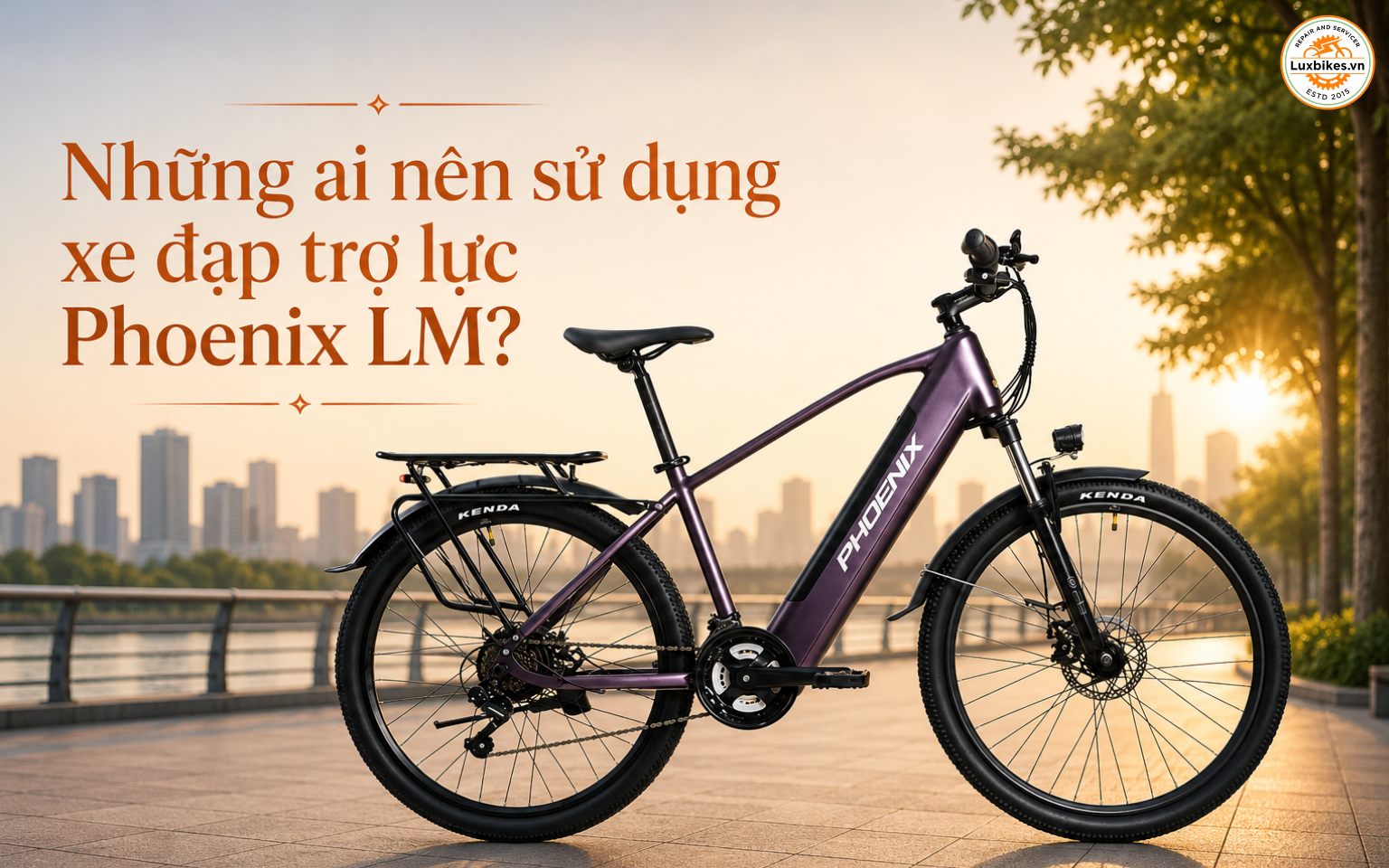 Xe Đạp Trợ Lực Phoenix LM 10 Những ai nên sử dụng xe đạp trợ lực Phoenix LM?