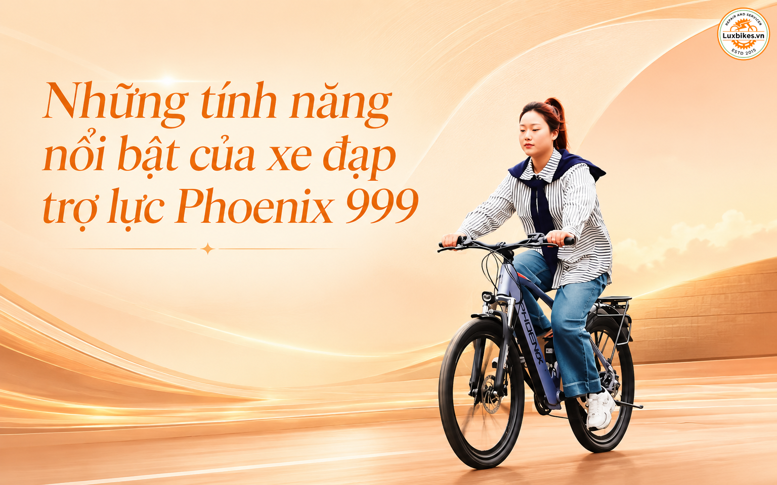 Xe đạp trợ lực Phoenix 999 4 Những tính năng nổi bật của xe đạp trợ lực Phoenix 999