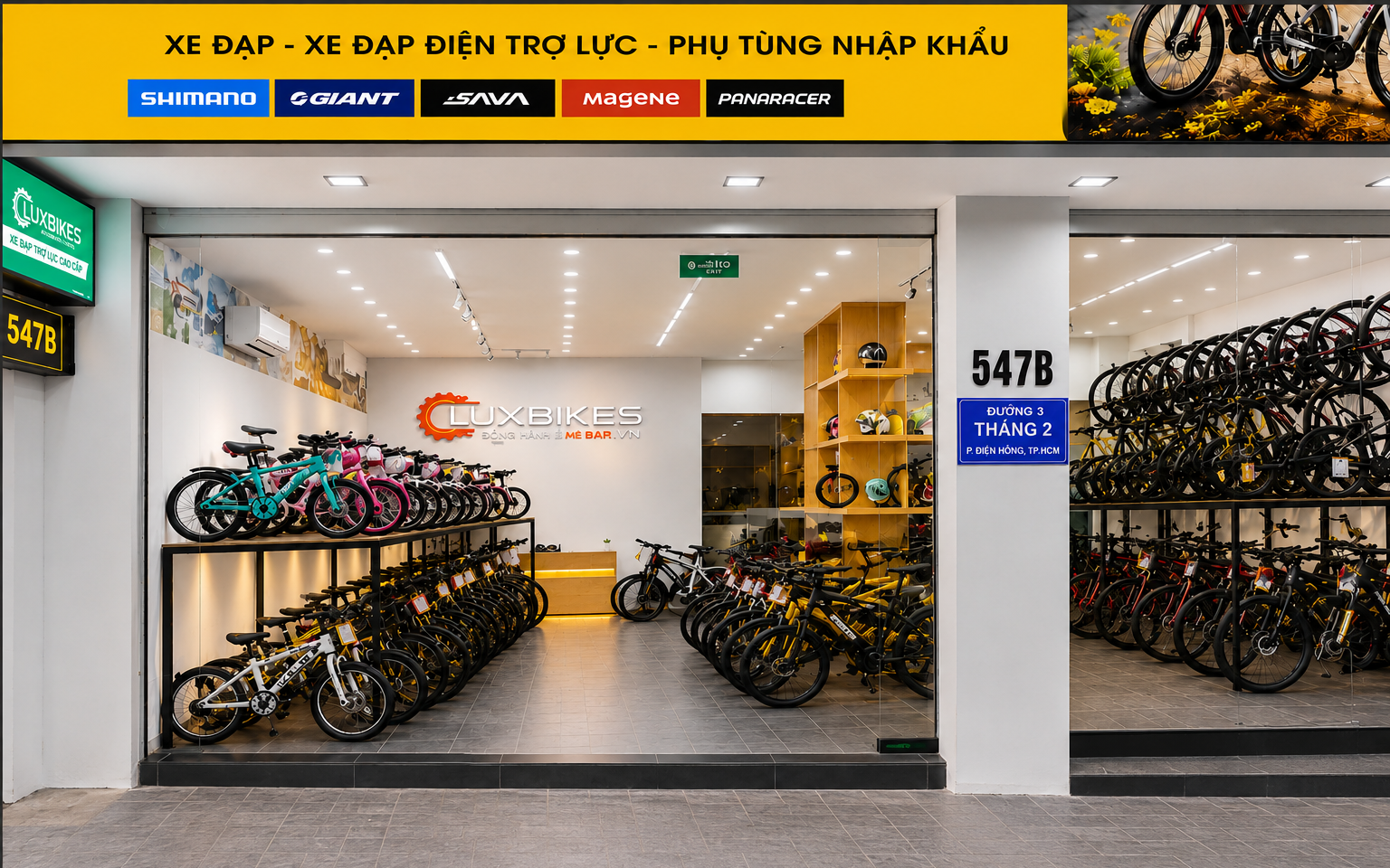 Xe đạp trợ lực Phoenix 999 10 Mua xe đạp trợ lực Phoenix 999 chính hãng ở đâu?