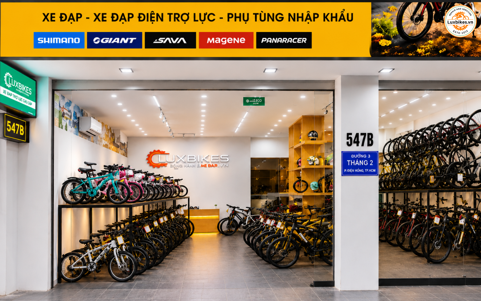 Mua xe đạp trợ lực Phoenix B9 Pro chính hãng ở đâu?