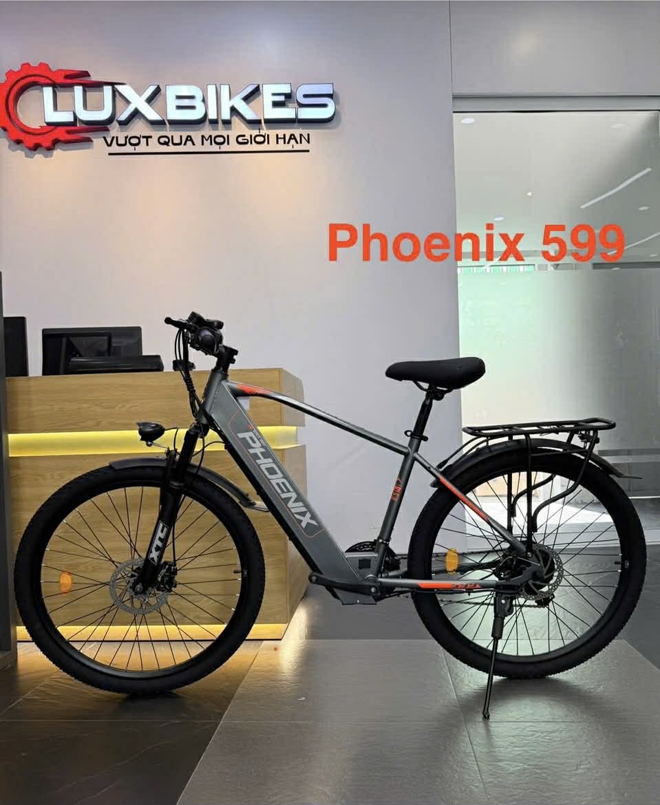 Xe Đạp Trợ Lực Phoenix 599 4 E179097f 32f0 4073 89bc 4ca7c215cd53