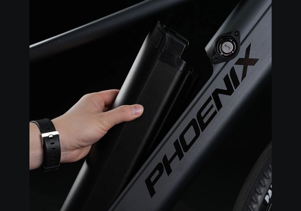 Pin Co The Thao Roi Tien Loi Phoenix Lm