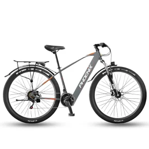 Trang chủ 10 Xe Dap Tro Luc Dien Phoenix 599 0