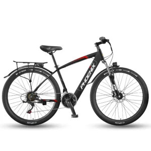 Xe Dap Tro Luc Dien Phoenix 599 1