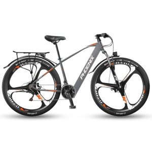 Xe Dap Tro Luc Dien Phoenix 599 Pro