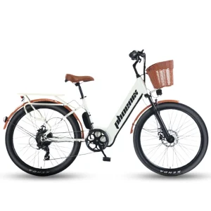 Trang chủ 17 Xe Dap Tro Luc Dien Phoenix C1 0