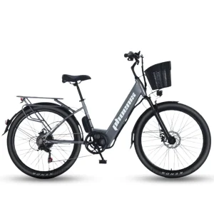 Xe Dap Tro Luc Dien Phoenix C1 1