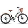 Xe Đạp Trợ Lực Điện Phoenix C1