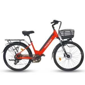 Xe Dap Tro Luc Dien Phoenix C11 0