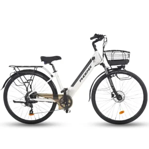 Xe Dap Tro Luc Dien Phoenix C11 1