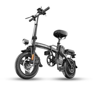 Xe Dap Tro Luc Dien Phoenix C14 0