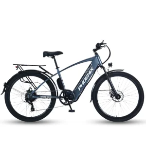 Trang chủ 15 Xe Dap Tro Luc Dien Phoenix G2 0