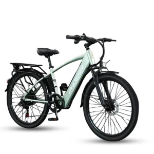 Xe Dap Tro Luc Dien Phoenix G2 1