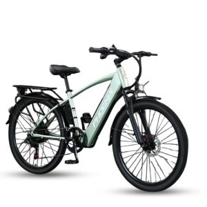 Xe Dap Tro Luc Dien Phoenix G2 2