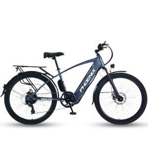 Xe Đạp Trợ Lực Điện Phoenix G2