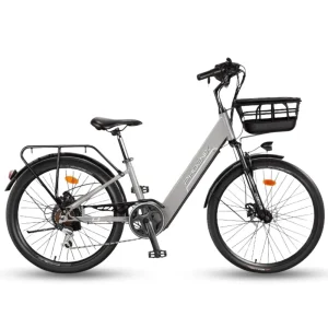 Xe Dap Tro Luc Dien Phoenix L8 0