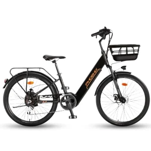 Xe Dap Tro Luc Dien Phoenix L8 1