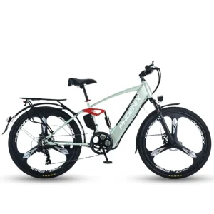 Xe Dap Tro Luc Dien Phoenix Q1 1