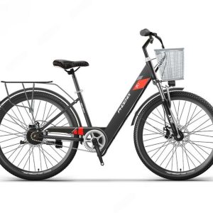 Xe Dap Tro Luc Dien Phoenix R12 1