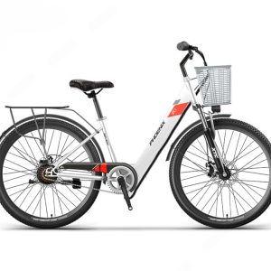 Xe Dap Tro Luc Dien Phoenix R12 2